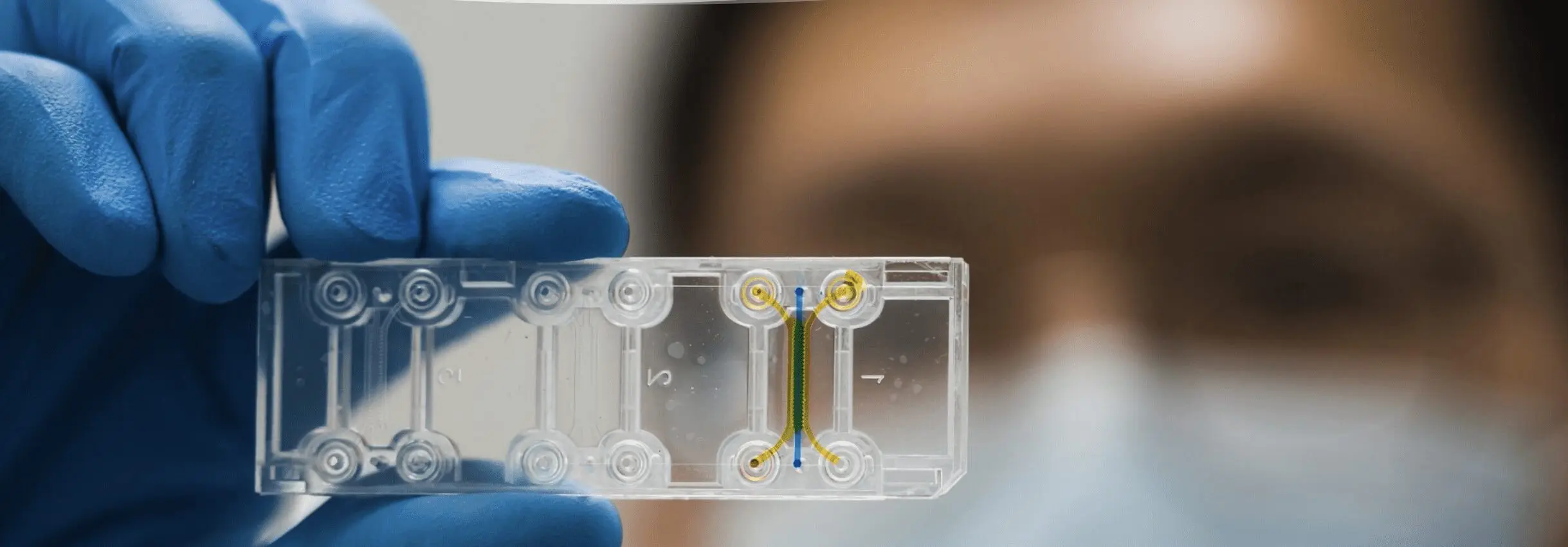 Close-up image of an organ-on-a-chip product from Aim Biotech