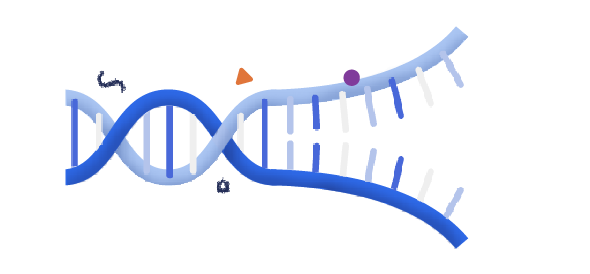 App Illustrations v1 02