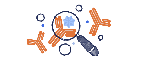 App Illustrations v1 05