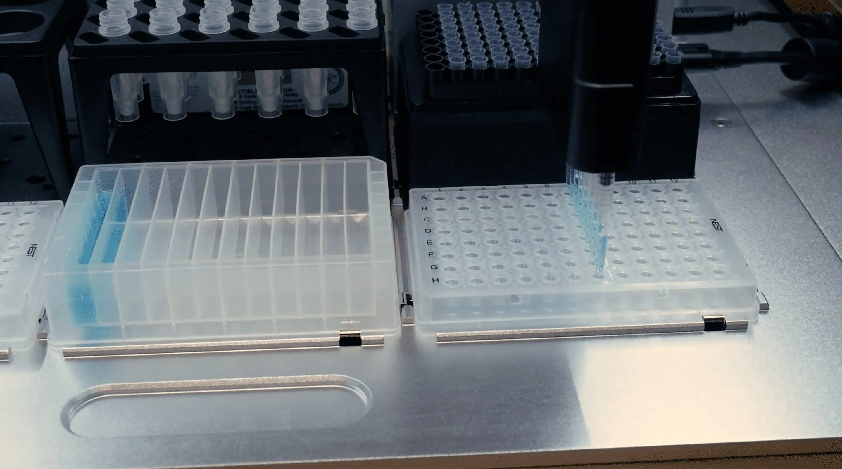 Screenshot 2023 02 09 at 1.31.16 PM