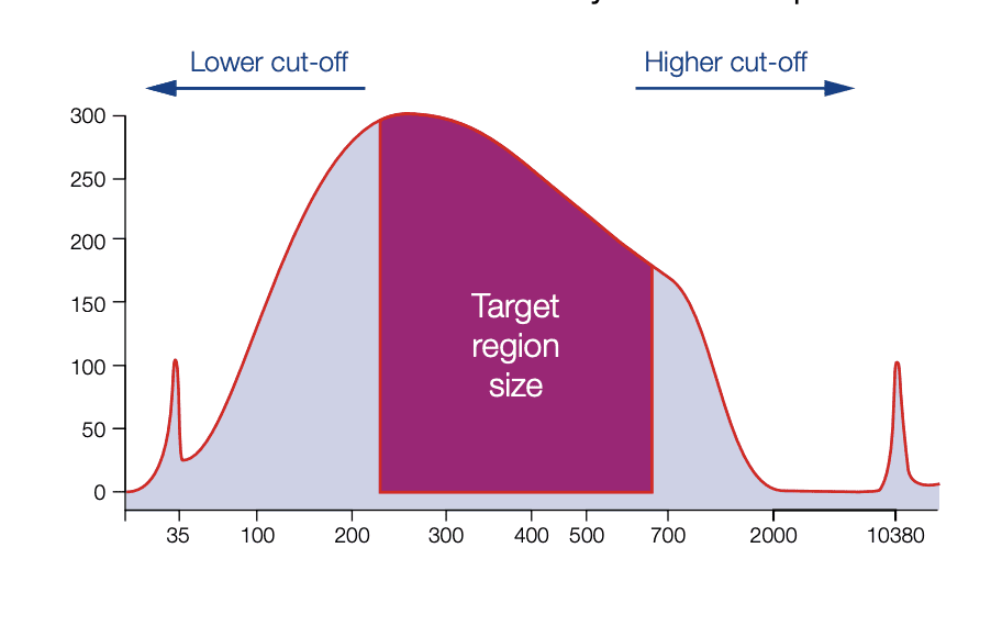 Screen Shot 2024 03 18 at 9.41.31 PM