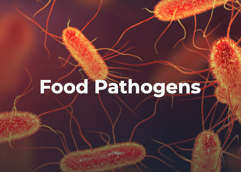 Screenshot 2024 08 16 at 1.19.06 PM