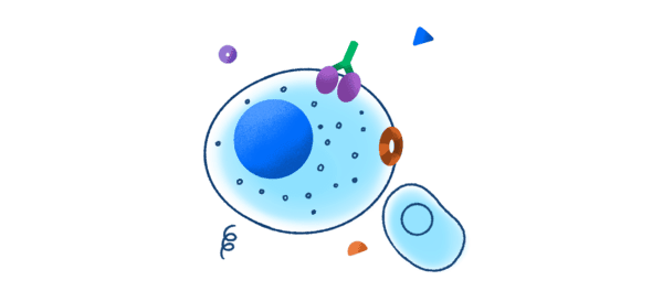 Cytotoxicity Assays 1