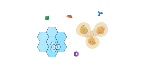 CellSplitting